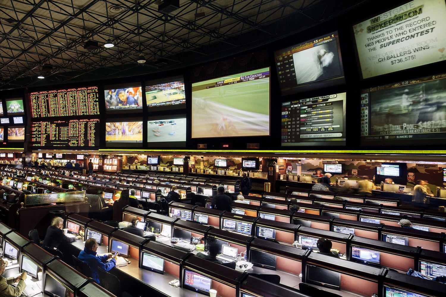 The Sports Betting Chronicles Online